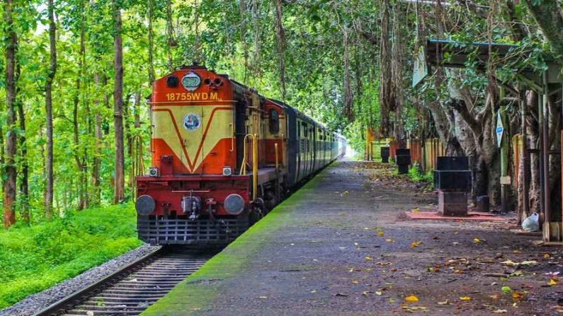 Restaurants in Nilambur