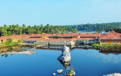 Where to Eat? 18 Famous Restaurants in Vadakara to Try