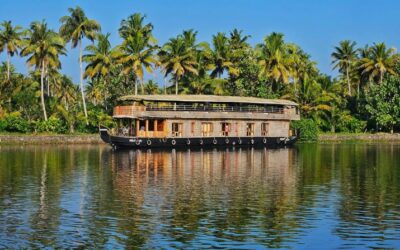 Best 13 Seafood Restaurants in Kumarakom