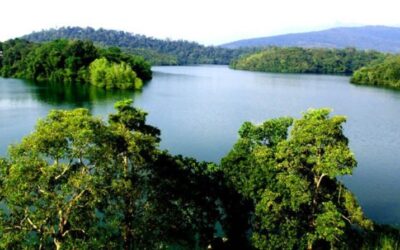 15 Popular Veg and Non-Veg Restaurants in Neyyattinkara for Kerala Cuisine Lovers