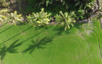 Best 10 Restaurants in Parassala – Top Places to Eat & Dine