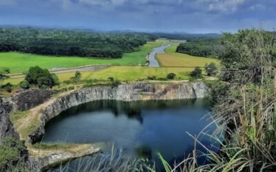 Explore the Best 14 Restaurants in Adoor – From Local Gems to Popular Favourites