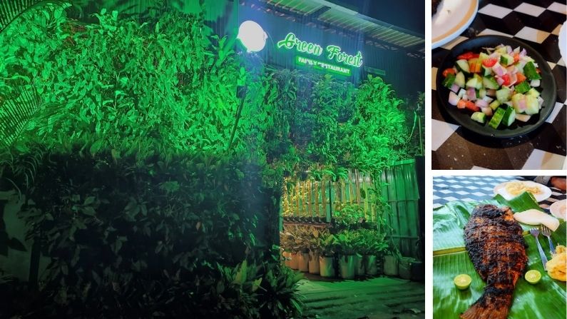 green forest Green Forest