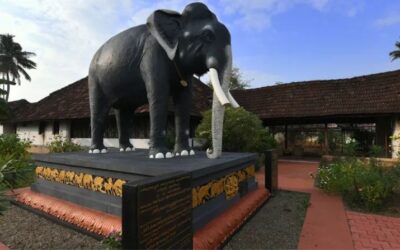 Top Restaurants in Kottarakkara – Best Dining Spots and Local Food Places