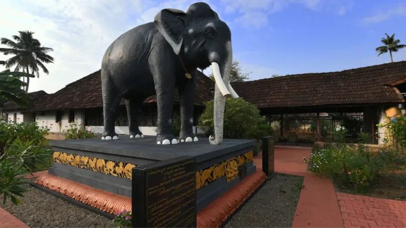 kottarakkara restaurants in kottarakkara