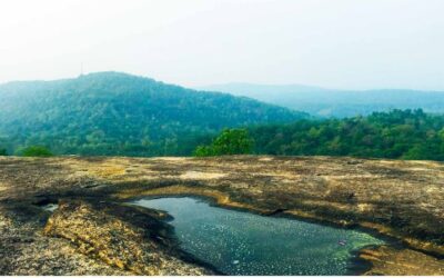 Best Restaurants in Mallapally – Where Taste Meets Tradition