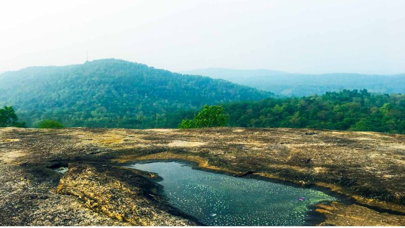 mallapally restaurants in mallapally