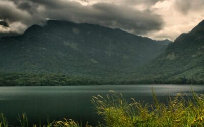 Best Restaurants in Alathur – Top 5 Places You Must Try