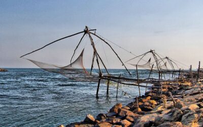 5 Best Restaurants in Kodungallur-Top Food Spots You Must Try