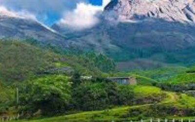 5 Best Restaurants in Kothamangalam Ernakulam – Top Places You Must Try