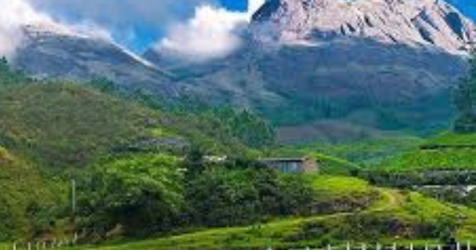 5 Best Restaurants in Kothamangalam Ernakulam – Top Places You Must Try