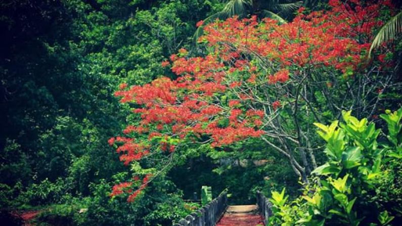 Best restaurants in Koyilandi with quality food and service.