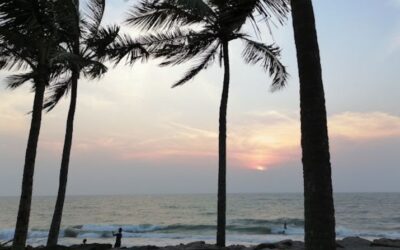 Best Restaurants in Tirur