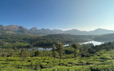 Restaurants in Udumbanchola