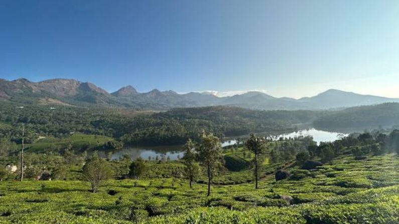 Restaurants in Udumbanchola