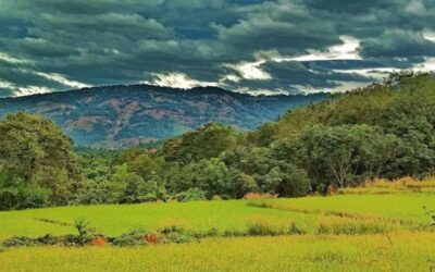 Restaurants in Perinthalmanna