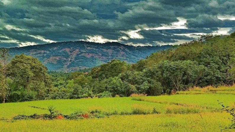 Restaurants in Perinthalmanna