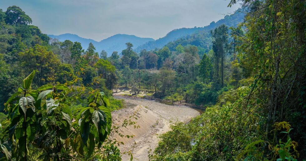 Restaurants in Ranni serving Kerala and Indian cuisine