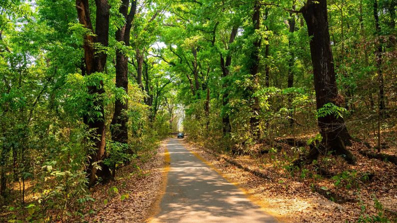 Restaurant in Nilambur offering quality food and good service