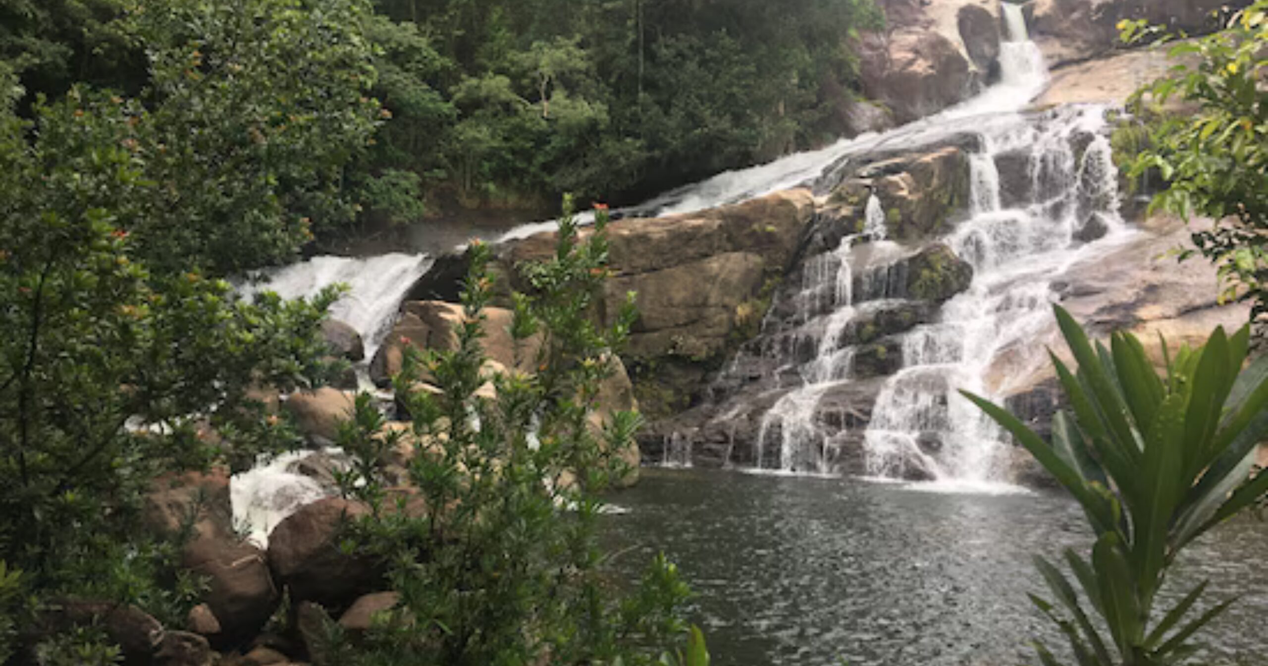 top rated restaurants in Kattakada offering local and multi cuisine dining