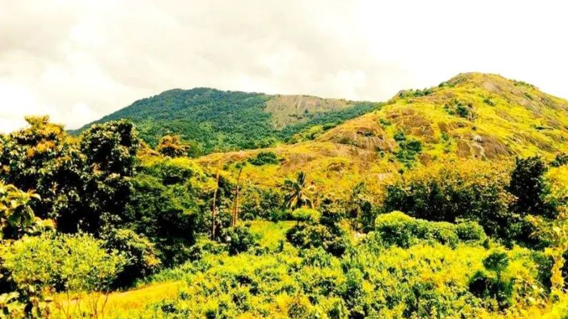 Restaurants in Ottapalam serving a variety of delicious dishes.