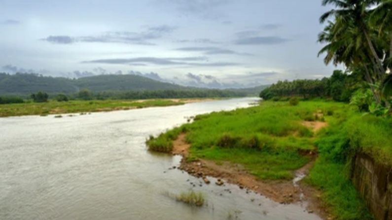 Restaurants in Pattambi serving different food varieties.