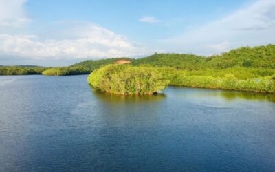 Restaurants in Taliparamba