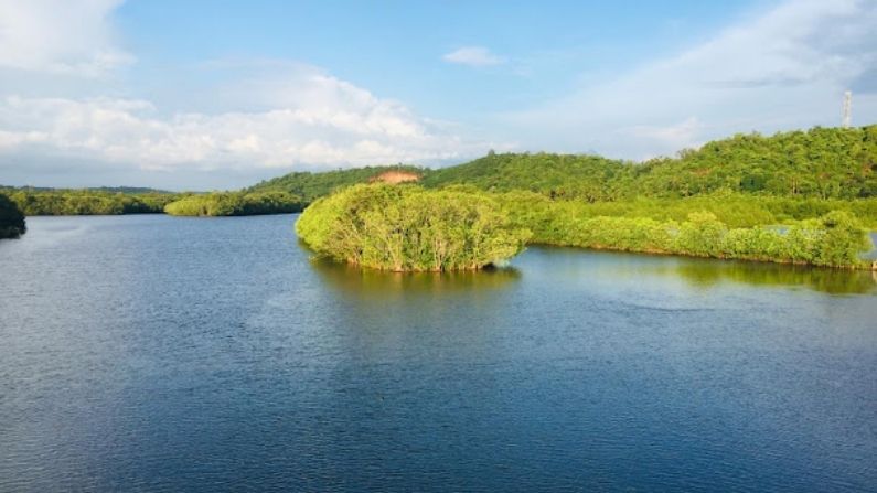 Restaurants in Taliparamba