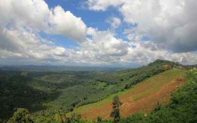 Restaurants in Kondotty