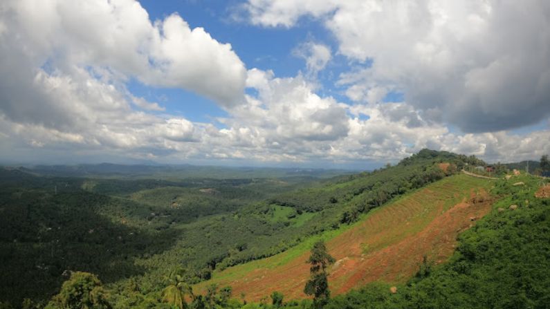 Restaurants in Kondotty