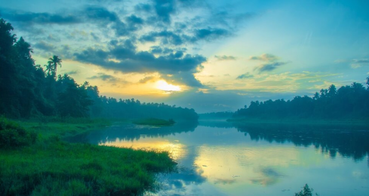 Chalakudy restaurants offering South Indian and North Indian dishes