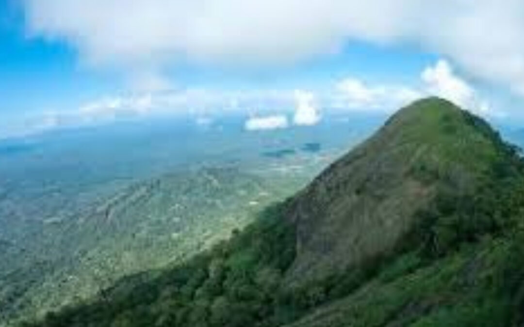 The 5 Best Restaurants in Angamaly, Kerala