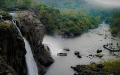 Best 5 Restaurants in Chalakudy