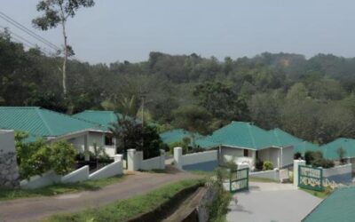 Must-Visit: Top 5 Restaurants in Kattakkada for Authentic Food and Atmosphere