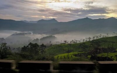 Best Restaurants in Devikulam: Places to Eat Kerala Food in Idukki