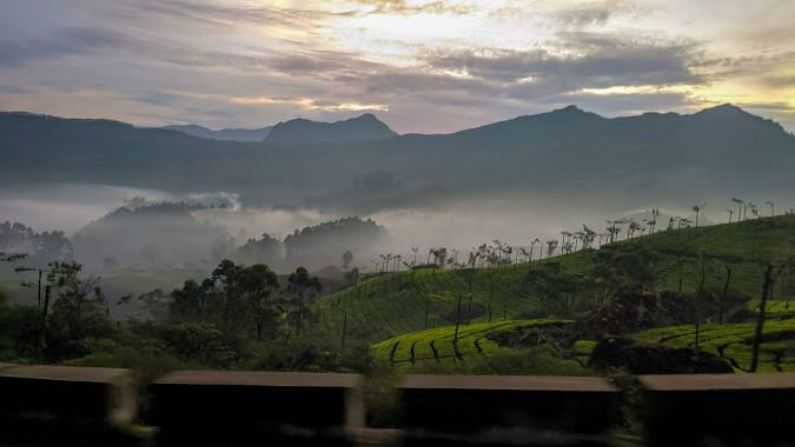 restaurants in devikulam surrounded by misty hills and lush greenery