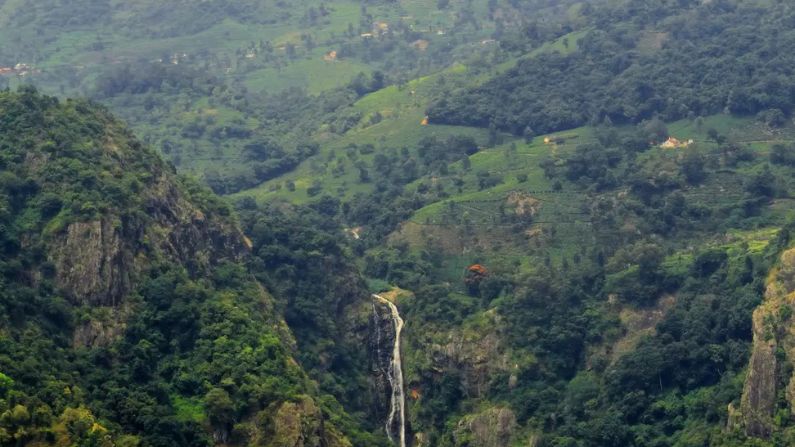 Best Restaurants in Perumbavoor for Delicious Food & Great Dining Experience