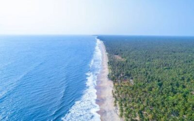 Best Restaurants in Chavakkad: Local Restaurants and Food Guide