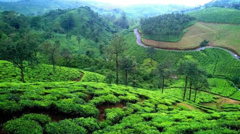 Scenic hilltop restaurants in Idukki, surrounded by lush green mountains and misty valleys