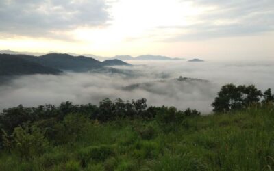 Best Restaurants in Omassery: Local Food Spots, Cafes & Non-Veg Dining