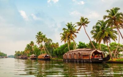 Best Restaurants in Alappuzha: Veg, Non-Veg, Arabian & Seafood Options