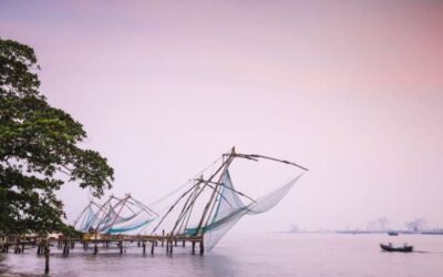 Best Restaurants in Kochi: Places to Eat in the Queen of the Arabian Sea