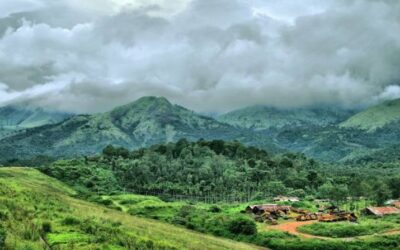 Best Restaurants in Wayanad: Where to Eat for Great Food & Views