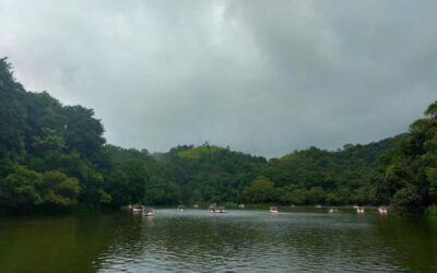 Best Restaurants in Kalpetta: Top Places to Eat in Wayanad