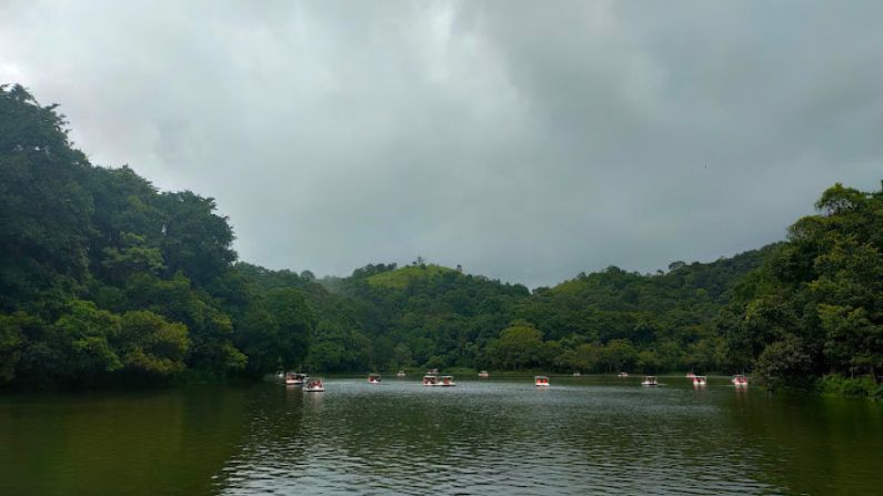 Best Restaurants in Kalpetta: Top Places to Eat in Wayanad