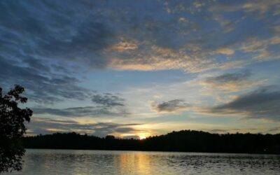 Best Restaurants in Ramanattukara: Top Places to Eat for Every Food Lover