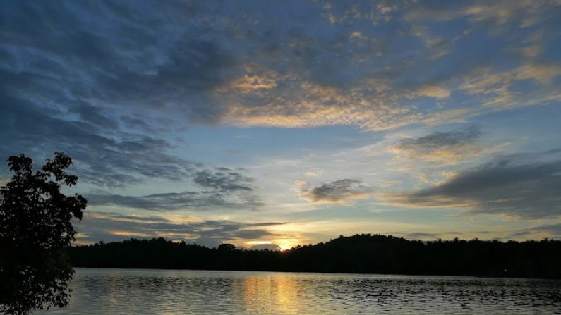 Best Restaurants in Ramanattukara: Top Places to Eat for Every Food Lover