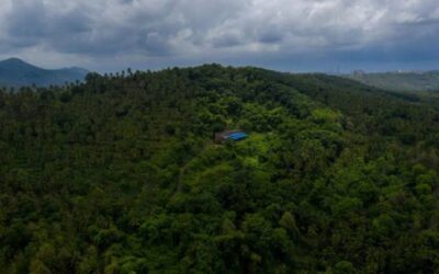 A Food Lover’s Guide to the Best Restaurants in Malappuram