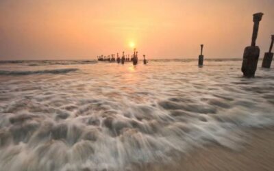 Best Restaurants in Calicut – A Complete Food Lover’s Guide