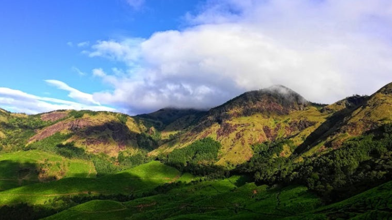 KILIMANOOR
